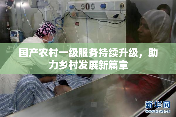 国产农村一级服务持续升级，助力乡村发展新篇章