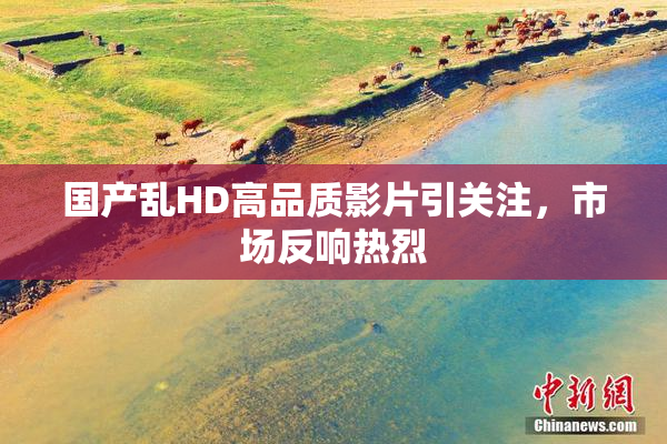 国产乱HD高品质影片引关注，市场反响热烈