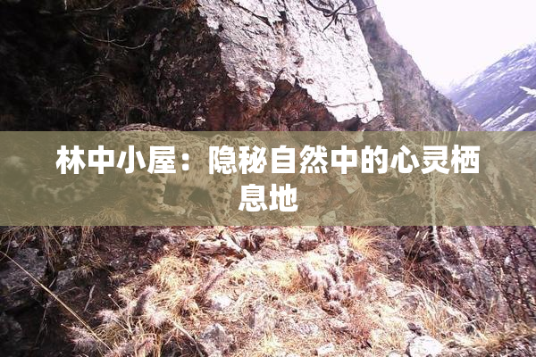 林中小屋：隐秘自然中的心灵栖息地