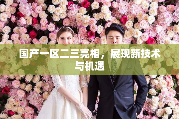 国产一区二三亮相，展现新技术与机遇