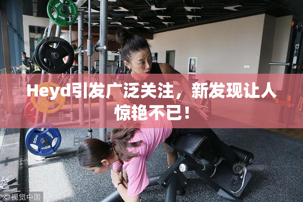 Heyd引发广泛关注，新发现让人惊艳不已！