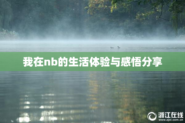 我在nb的生活体验与感悟分享