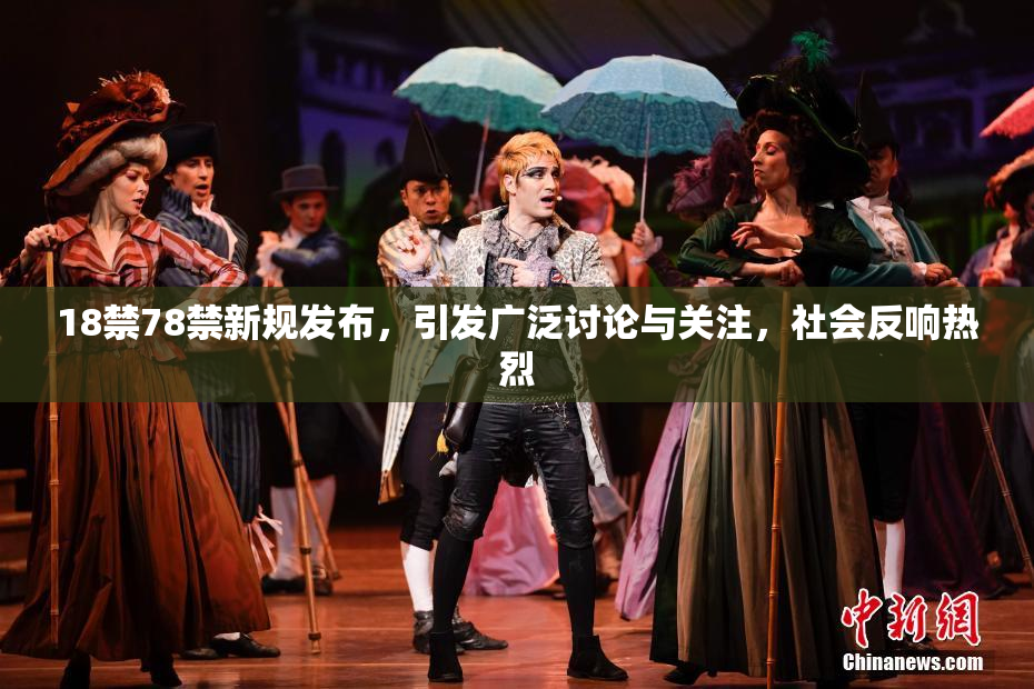 18禁78禁新规发布，引发广泛讨论与关注，社会反响热烈