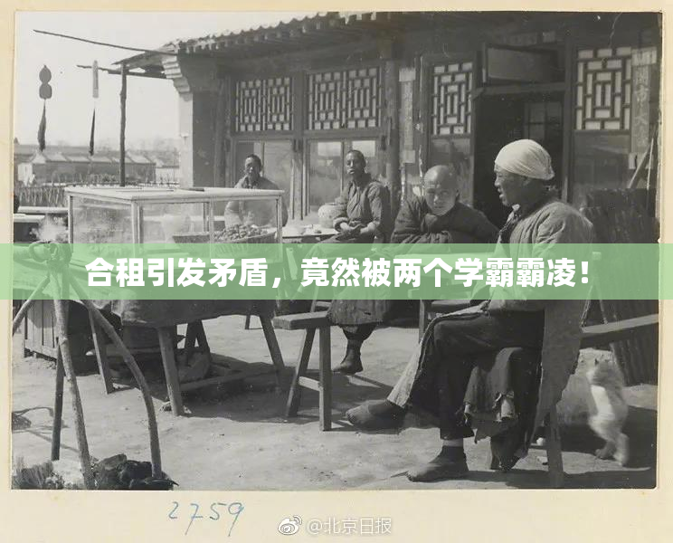 合租引发矛盾，竟然被两个学霸霸凌！