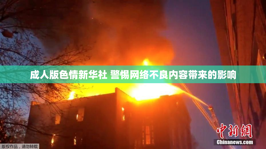 成人版色情新华社 警惕网络不良内容带来的影响