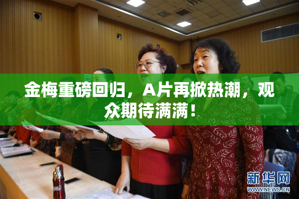 金梅重磅回归，A片再掀热潮，观众期待满满！