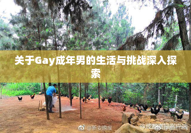 关于Gay成年男的生活与挑战深入探索