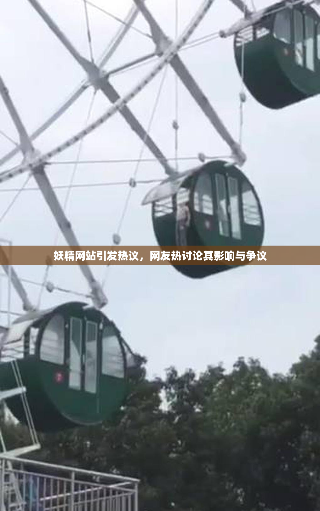 妖精网站引发热议，网友热讨论其影响与争议