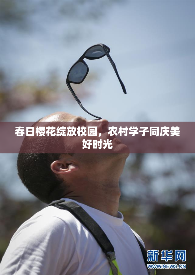 春日樱花绽放校园，农村学子同庆美好时光