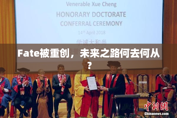 Fate被重创，未来之路何去何从？