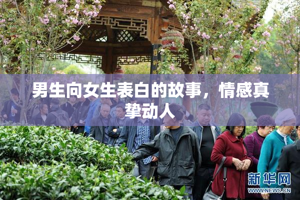 男生向女生表白的故事，情感真挚动人