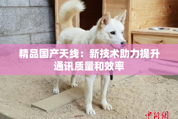 精品国产天线：新技术助力提升通讯质量和效率