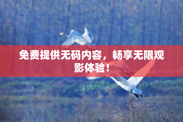 免费提供无码内容，畅享无限观影体验！