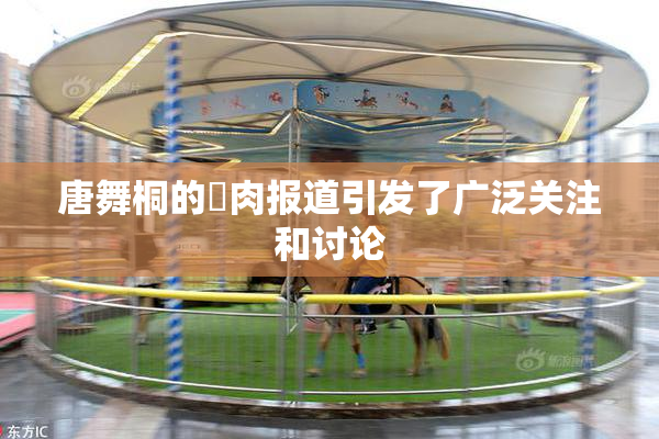 唐舞桐的婬肉报道引发了广泛关注和讨论