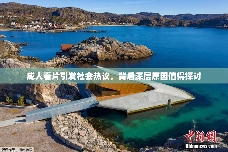 成人看片引发社会热议，背后深层原因值得探讨