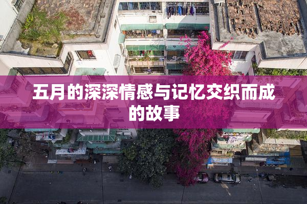 五月的深深情感与记忆交织而成的故事