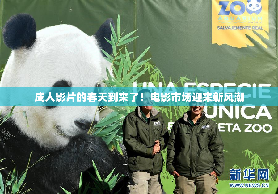 成人影片的春天到来了！电影市场迎来新风潮