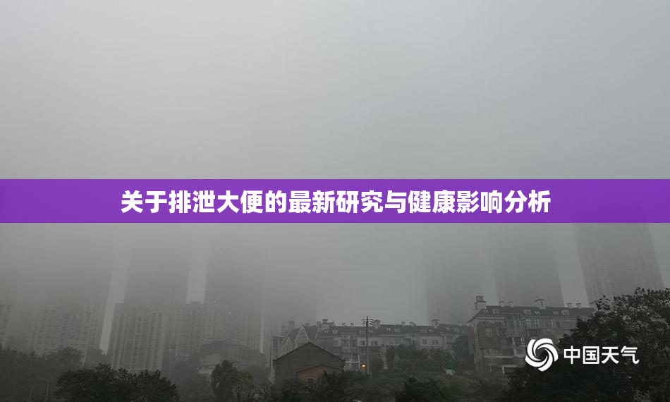 关于排泄大便的最新研究与健康影响分析