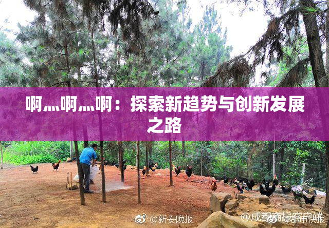 啊灬啊灬啊：探索新趋势与创新发展之路