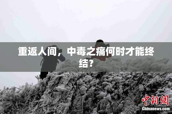 重返人间，中毒之痛何时才能终结？