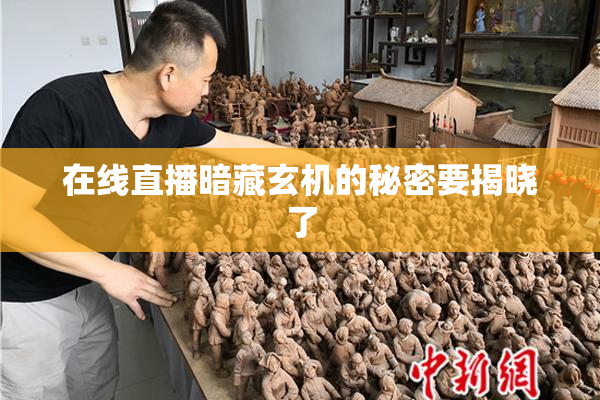在线直播暗藏玄机的秘密要揭晓了