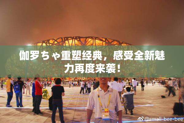 伽罗ちゃ重塑经典，感受全新魅力再度来袭！