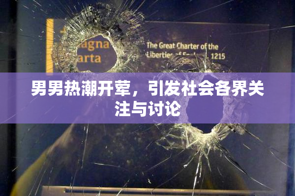 男男热潮开荤，引发社会各界关注与讨论
