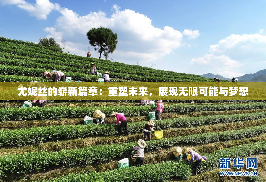 尤妮丝的崭新篇章：重塑未来，展现无限可能与梦想