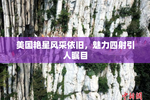 美国艳星风采依旧，魅力四射引人瞩目