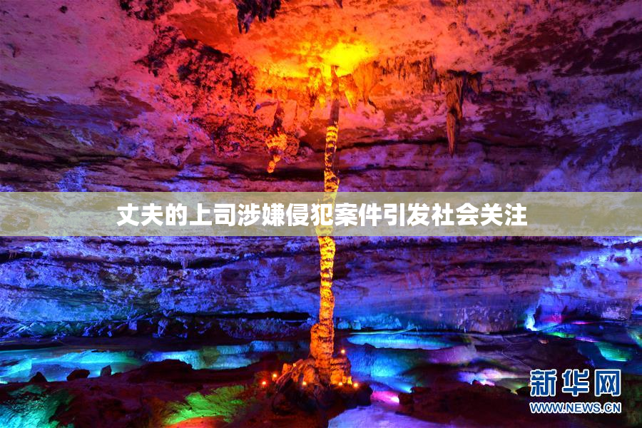 丈夫的上司涉嫌侵犯案件引发社会关注