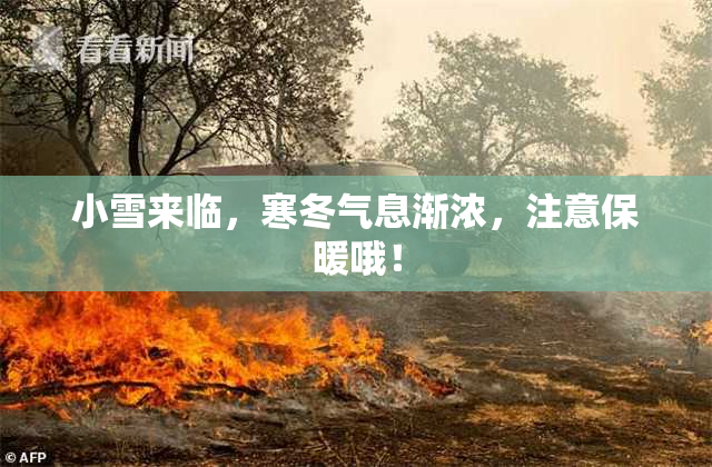 小雪来临，寒冬气息渐浓，注意保暖哦！