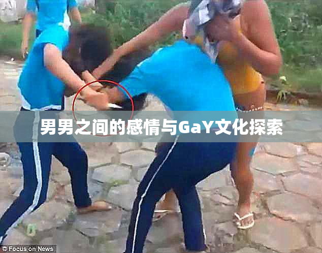 男男之间的感情与GaY文化探索
