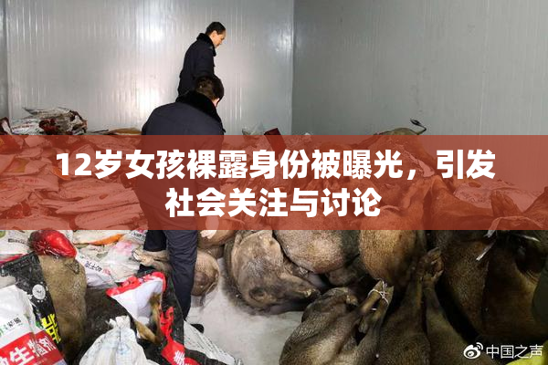 12岁女孩裸露身份被曝光，引发社会关注与讨论