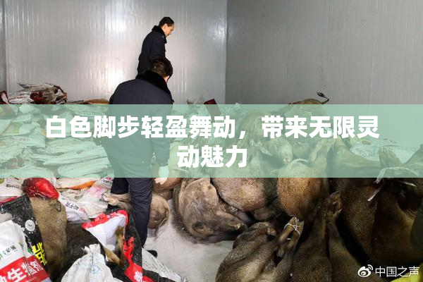 白色脚步轻盈舞动，带来无限灵动魅力