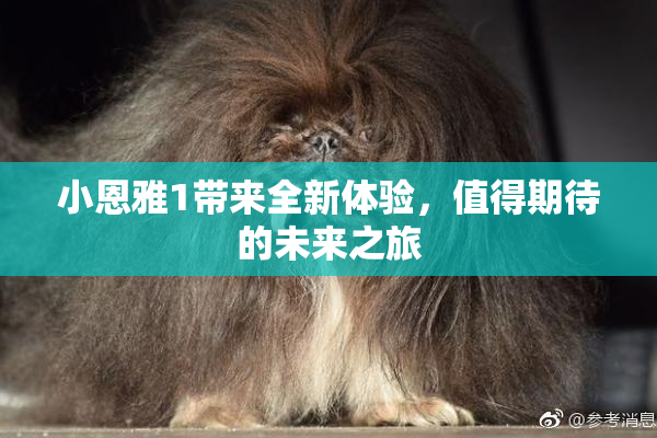 小恩雅1带来全新体验，值得期待的未来之旅