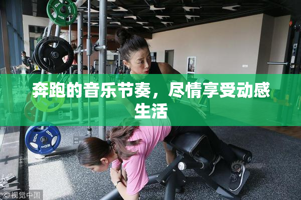 奔跑的音乐节奏，尽情享受动感生活