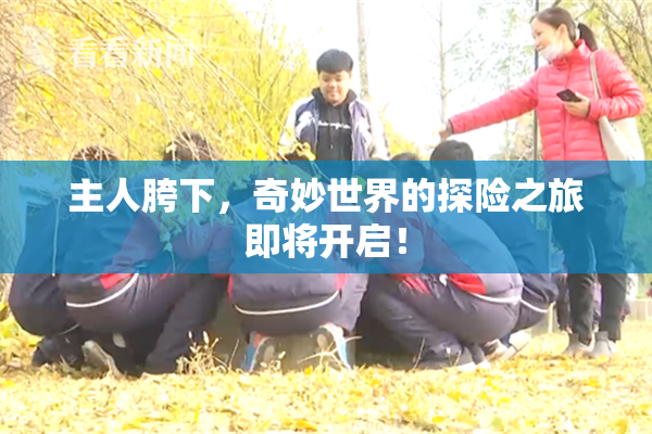主人胯下，奇妙世界的探险之旅即将开启！