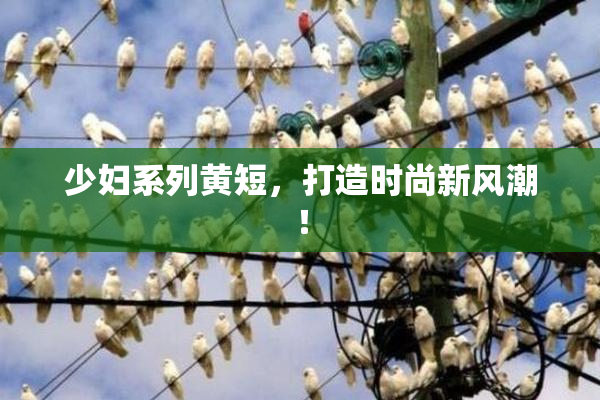 少妇系列黄短，打造时尚新风潮！