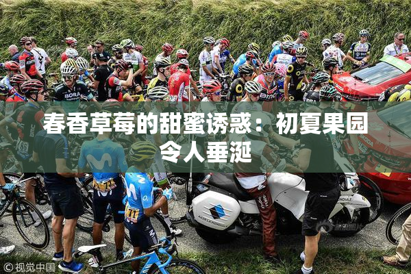 春香草莓的甜蜜诱惑：初夏果园令人垂涎