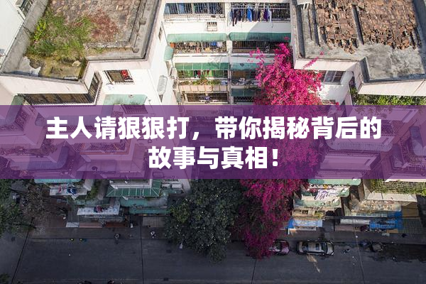 主人请狠狠打，带你揭秘背后的故事与真相！