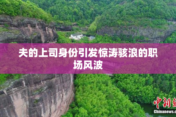 夫的上司身份引发惊涛骇浪的职场风波