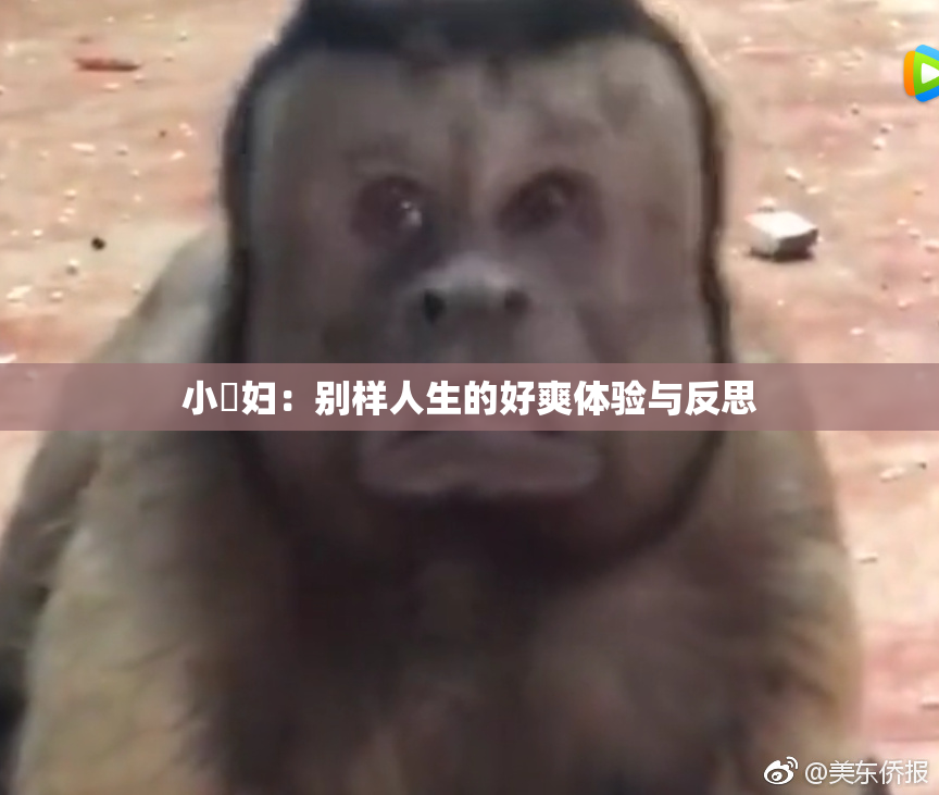 小婬妇：别样人生的好爽体验与反思