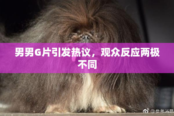 男男G片引发热议，观众反应两极不同