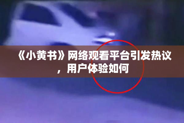 《小黄书》网络观看平台引发热议，用户体验如何