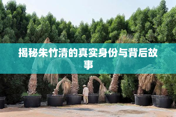 揭秘朱竹清的真实身份与背后故事
