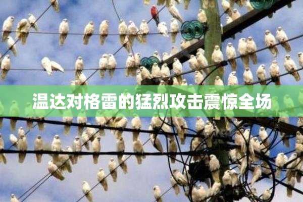 温达对格雷的猛烈攻击震惊全场