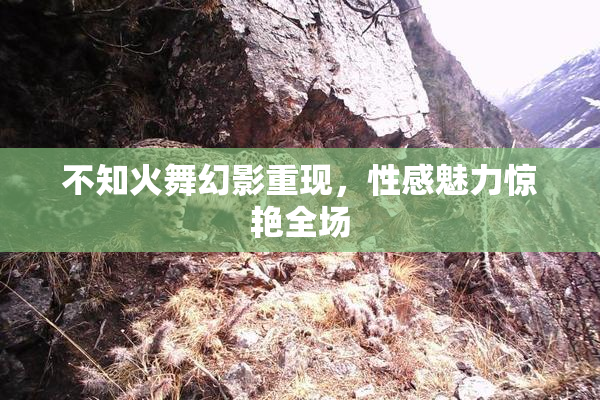 不知火舞幻影重现，性感魅力惊艳全场