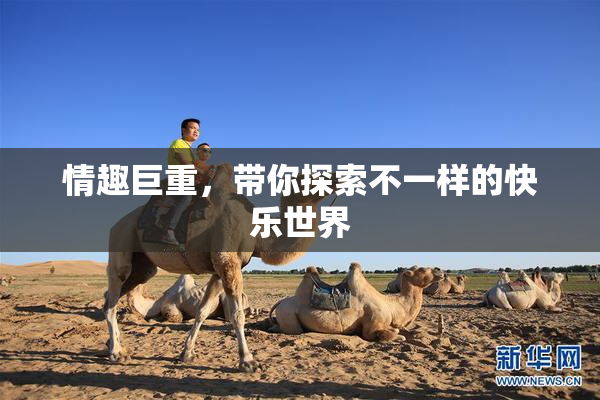 情趣巨重，带你探索不一样的快乐世界