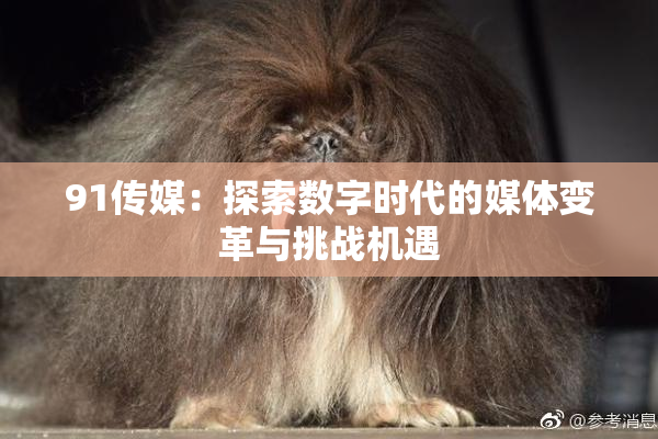 91传媒：探索数字时代的媒体变革与挑战机遇
