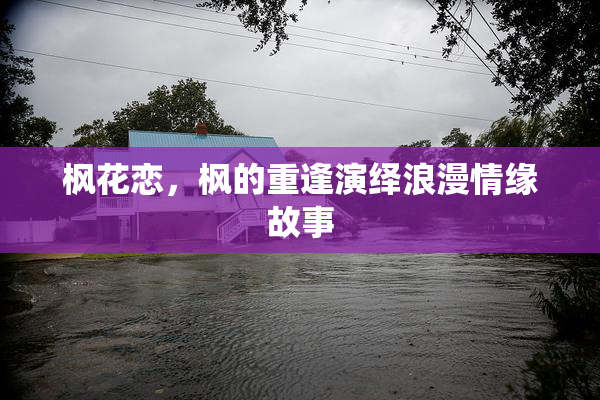 枫花恋，枫的重逢演绎浪漫情缘故事